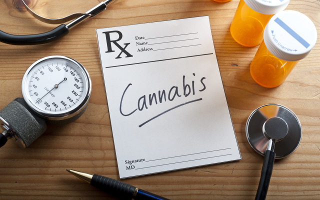 Cover Image for MMJ collars first Australian medical cannabis investment in start-up Martha Jane Medical