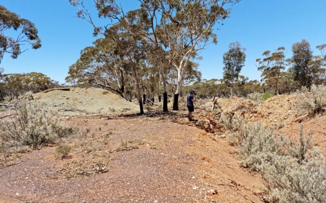Cover Image for Monger Gold kicks-off mapping and sampling at Mt Monger South