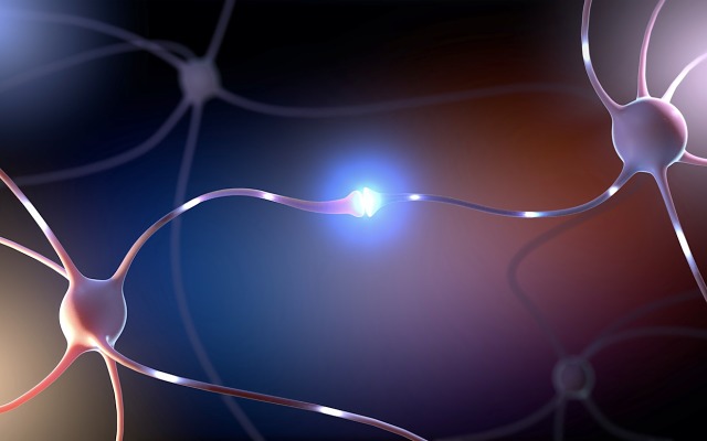Cover Image for NeuroScientific’s EmtinB drug achieves positive results in pre-clinical MS research