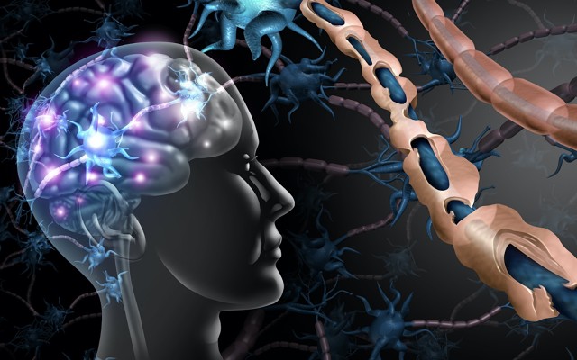 Cover Image for NeuroScientific hails potential breakthrough after early EmtinB study results