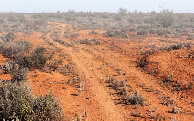 Cover Image for Orpheus Minerals launches $6m IPO to fund domestic uranium exploration