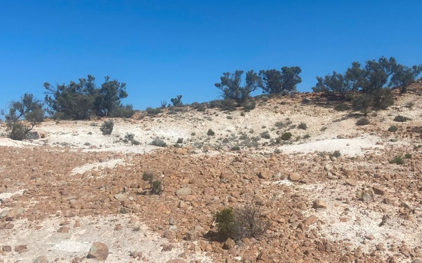 Cover Image for Petratherm reports high-value titanium discovery at Muckanippie project in South Australia