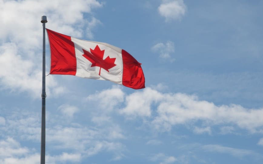 Cover Image for Piedmont Lithium makes strategic investment in large Newfoundland project