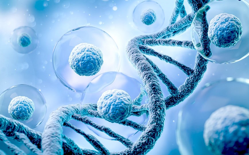 Cover Image for Prescient Therapeutics gains fast-track FDA designation for PTX-100 to treat T-cell lymphoma