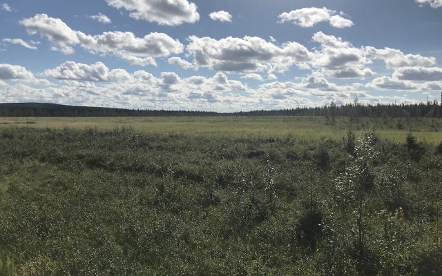 Cover Image for Pursuit Minerals reports ‘exceptional’ grade vanadium concentrate at Koitelainen Vosa