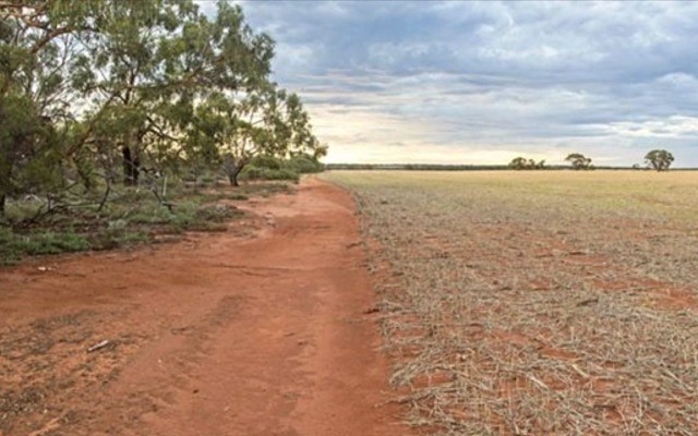 Cover Image for Exploration begins for newly-listed Rafaella Resources at Sandstone gold project