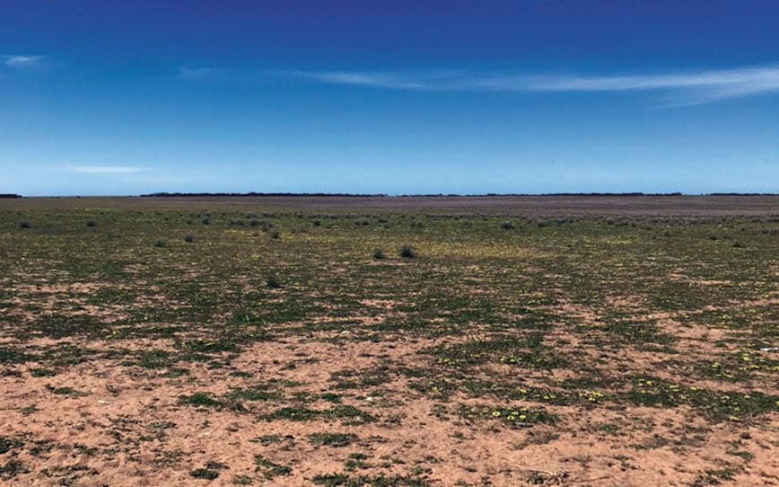Cover Image for Renascor Resources ups Siviour graphite resource by 25%, considers further expansion