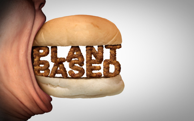 Cover Image for Roots embarks on protein-planting program to target artificial meat market