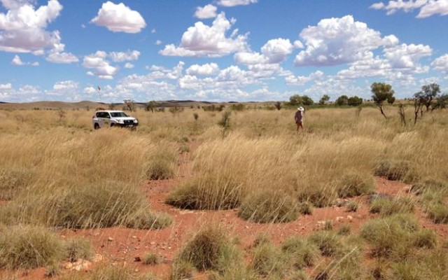 Cover Image for Sayona Mining signs earn-in agreement with Altura to progress WA lithium portfolio