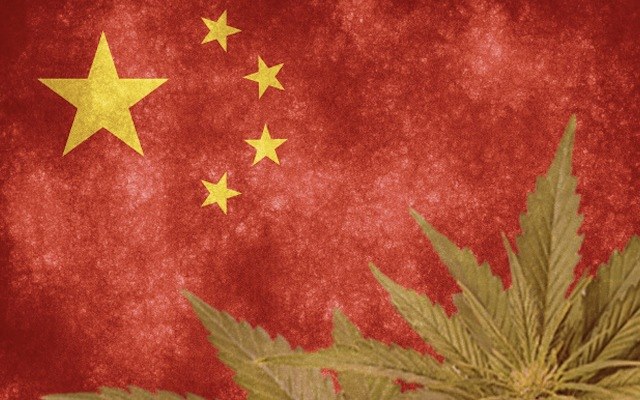 Cover Image for StemCell United looks to capitalise on industrial hemp licence in China