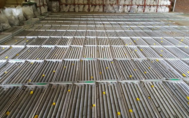 Cover Image for Tando Resources firms up SPD vanadium project with ‘outstanding’ assay results
