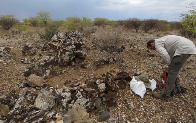 Cover Image for Tanga Resources finds new high-grade zone at flagship Hagenhof copper-cobalt project