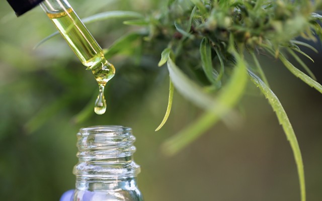 Cover Image for Drawbacks of the TGA’s cannabis changes for listed pot stocks