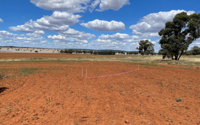 Cover Image for New study shows positive development scenario for Thomson Resources’ ‘hub and spoke’ strategy