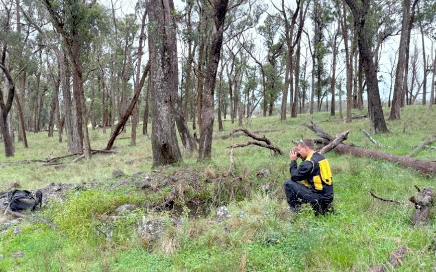 Cover Image for Thunderbird Resources ramps up NSW gold-antimony exploration following positive maiden results