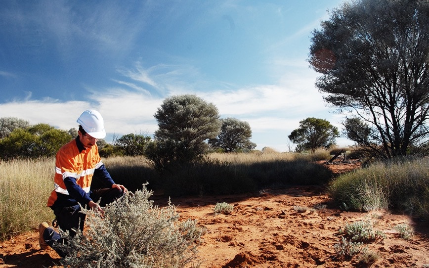 Cover Image for Toro Energy plans strategic integration to elevate Lake Maitland uranium project