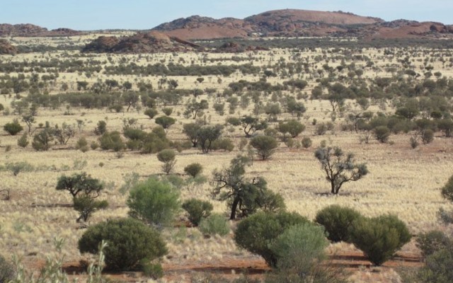 Cover Image for Traka Resources secures 100% of Mt Cattlin gold rights from Galaxy Resources