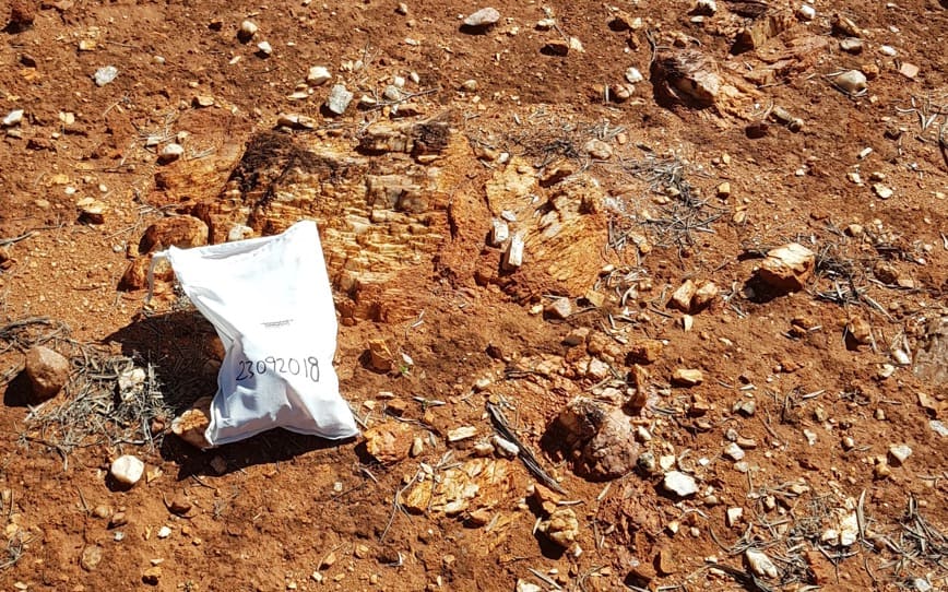 Cover Image for Venus Metals discovers multiple new lithium zones at Youanmi project