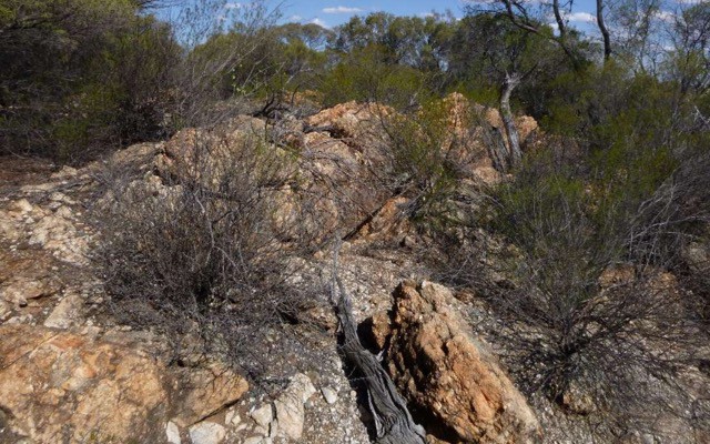 Cover Image for IGO to farm-into Venus Metals’ Henderson nickel and lithium project