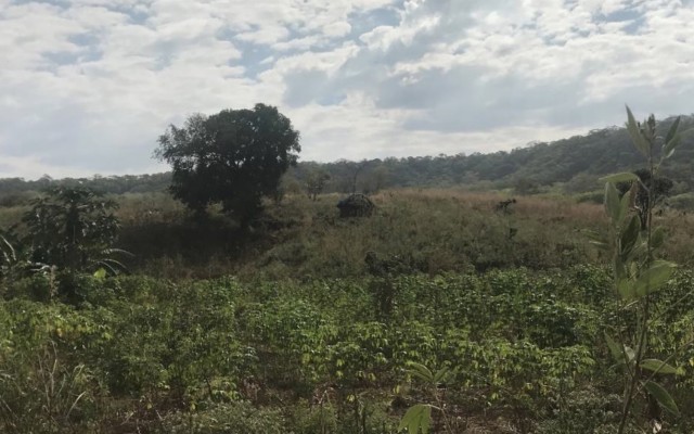 Cover Image for Volt Resources clears final hurdle ahead of mining licence grant at Bunyu graphite project