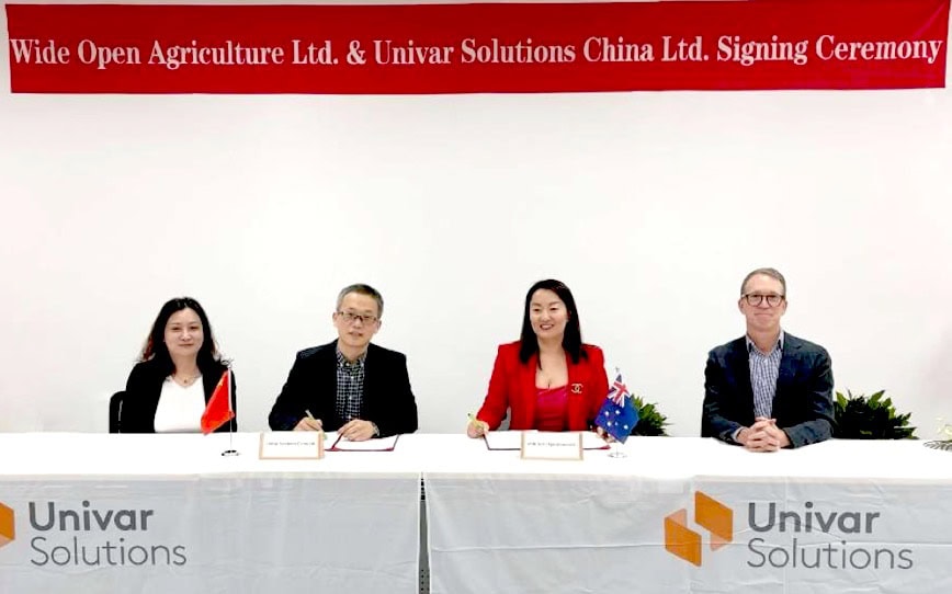 Cover Image for Wide Open Agriculture signs exclusive lupin protein distribution deal with Univar Solutions China